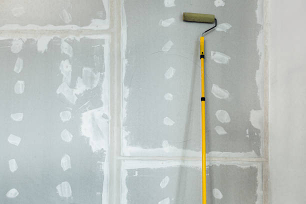 Best Emergency Mold Remediation  in Airy Heights, WA