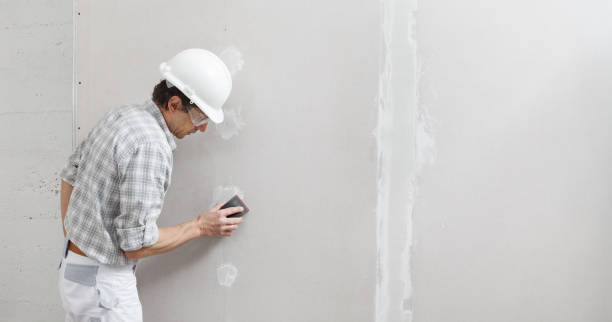 Best Industrial Mold Remediation  in Airy Heights, WA