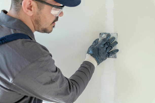 Best Mold Odor Removal Services  in Airy Heights, WA
