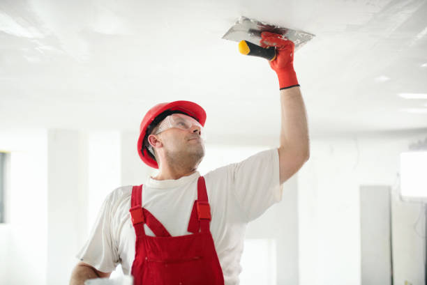 Best Post-Construction Mold Inspection  in Airy Heights, WA