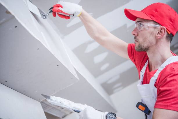  Airy Heights, WA Mold Removal Pros